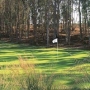 Monarch Dunes