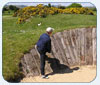 Golf In Ireland
