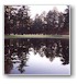 Lake Spanaway Golf Course