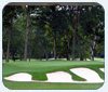 Will the Real Winged Foot Please Stand Up?