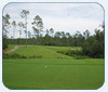 Golf on Mississippi�s Gulf Coast � The Secret is Out!