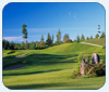 White Horse Golf Club: A Thoroughbred Chomping at the Bit