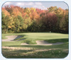 Mungeam Forms New Course Design Company