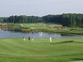 The Potomac Cup - Yes Virginia