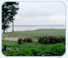 Cypress Bend: A Little Piece of Heaven on the Texas-Louisiana Border