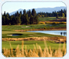 Osprey Meadows Achieves Audubon Certification