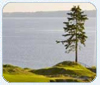 Vandalism at Chambers Bay