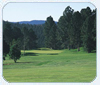 Head for the Mountains - of Southern New Mexico